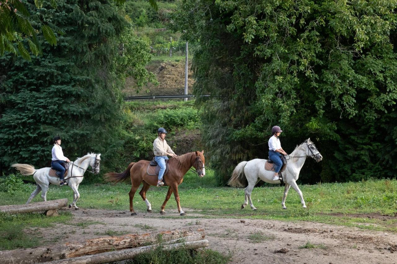 Séjour à la ferme Quinta Do Outeiro 1598 Ponte da Barca